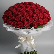 Букет 101 Красная роза Блэк Мэджик в Дубовке Тульская область