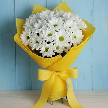 Букет цветов из:  Хризантемы в Дубовке Тульская область