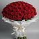 Букет 101 Красная роза Блэк Мэджик в Дубовке Тульская область
