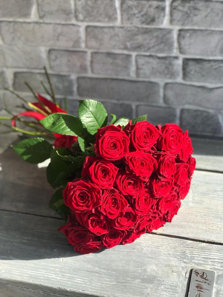 Букет Красные розы Фридом в Дубовке Тульская область