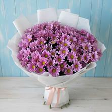 Букет цветов из:  Хризантемы в Дубовке Тульская область
