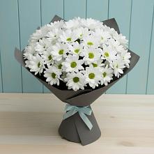 Букет цветов из:  Хризантемы в Дубовке Тульская область