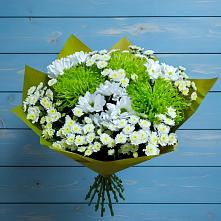 Букет цветов из:  Хризантемы в Дубовке Тульская область