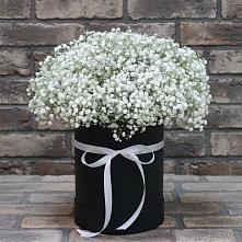 Цветочная композиция из Гипсофила в шляпной коробке в Дубовке Тульская область