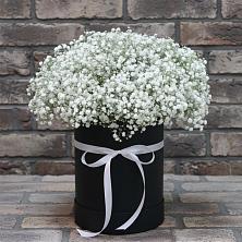 Цветочная композиция из Гипсофила в шляпной коробке в Дубовке Тульская область