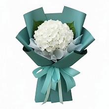Букет цветов из:  Гортензия в Дубовке Тульская область